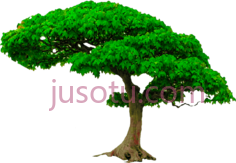 树PNG