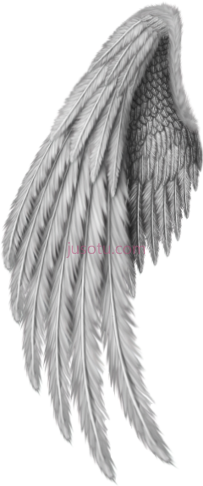 金色天使之翼翅膀,angel wings PNG