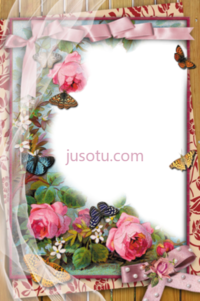 玫瑰花边,rose flower border marcos de fotos PNG