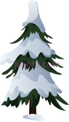 雪松PNG