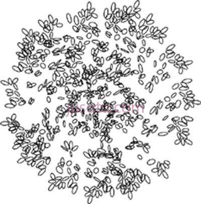 树顶,black and white visual arts monochrome PNG