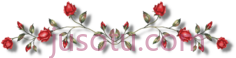 玫瑰PNG