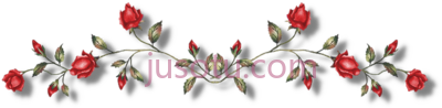 玫瑰,rose page divider PNG