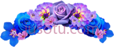 花冠, PNG