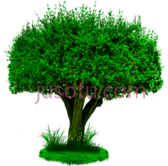 树PNG