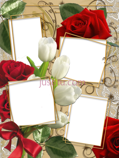 花架相框,marco de flore para varias fotos PNG